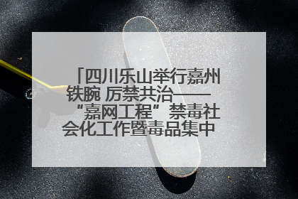 四川乐山举行嘉州铁腕 厉禁共治——“嘉网工程”禁毒社会化工作暨毒品集中销毁启动仪式