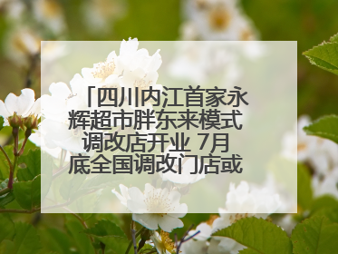 四川内江首家永辉超市胖东来模式调改店开业 7月底全国调改门店或将突破150家丨新经济观察