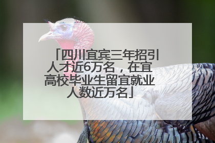 四川宜宾三年招引人才近6万名，在宜高校毕业生留宜就业人数近万名