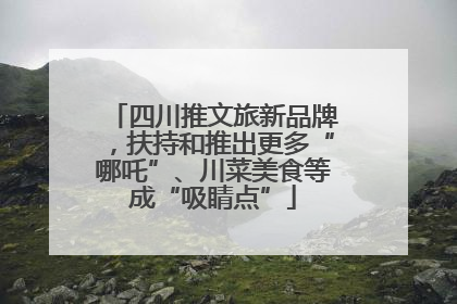 四川推文旅新品牌，扶持和推出更多“哪吒”、川菜美食等成“吸睛点”