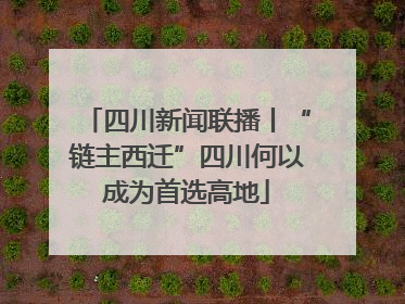 四川新闻联播丨“链主西迁”四川何以成为首选高地