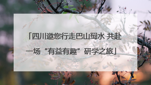 四川邀您行走巴山蜀水 共赴一场“有益有趣”研学之旅