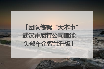 团队练就“大本事” 武汉霍尼特公司赋能头部车企智慧升级