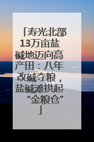 寿光北部13万亩盐碱地迈向高产田：八年改碱夺粮，盐碱滩拱起“金粮仓”