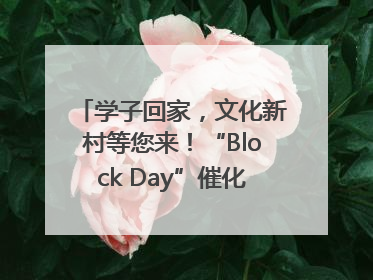 学子回家，文化新村等您来！“Block Day”催化学院式街区新生态