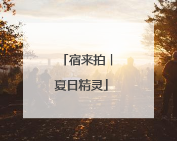 宿来拍丨夏日精灵