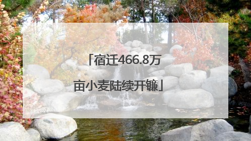 宿迁466.8万亩小麦陆续开镰