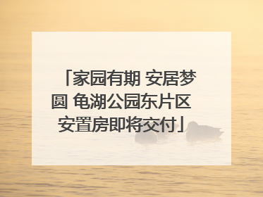 家园有期 安居梦圆 龟湖公园东片区安置房即将交付