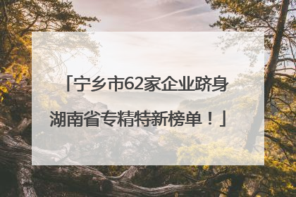 宁乡市62家企业跻身湖南省专精特新榜单！