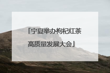 宁夏举办枸杞红茶高质量发展大会