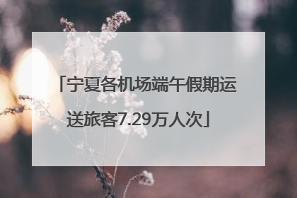 宁夏各机场端午假期运送旅客7.29万人次