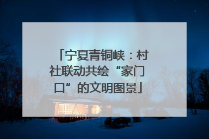 宁夏青铜峡：村社联动共绘“家门口”的文明图景