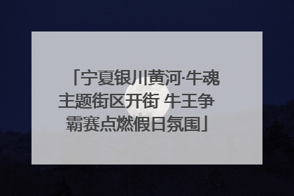 宁夏银川黄河·牛魂主题街区开街 牛王争霸赛点燃假日氛围