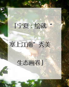 宁夏：绘就“塞上江南”秀美生态画卷
