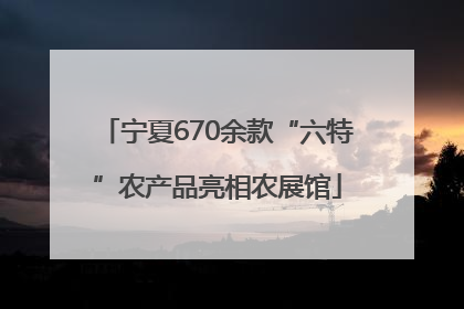 宁夏670余款“六特”农产品亮相农展馆