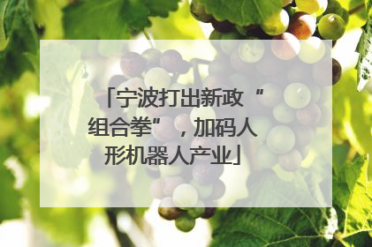 宁波打出新政“组合拳”，加码人形机器人产业