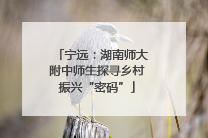 宁远：湖南师大附中师生探寻乡村振兴“密码”