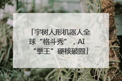 宇树人形机器人全球“格斗秀”，AI“拳王”硬核破圈