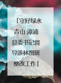 守好绿水青山 漳浦县委书记督导涉林图斑整改工作