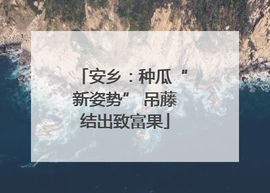 安乡：种瓜“新姿势” 吊藤结出致富果
