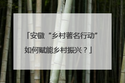 安徽“乡村著名行动”如何赋能乡村振兴？