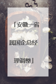 安徽一省属国企总经理调整