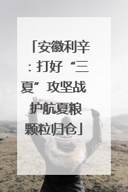 安徽利辛：打好“三夏”攻坚战 护航夏粮颗粒归仓