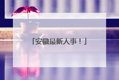 安徽最新人事！