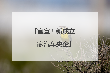 官宣！新成立一家汽车央企