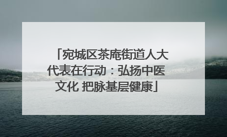 宛城区茶庵街道人大代表在行动：弘扬中医文化 把脉基层健康