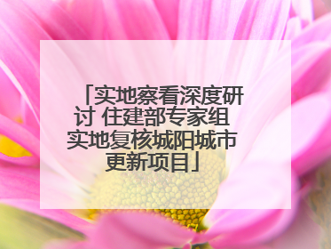 实地察看深度研讨 住建部专家组实地复核城阳城市更新项目