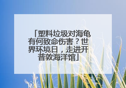 塑料垃圾对海龟有何致命伤害？世界环境日，走进开普敦海洋馆
