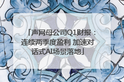 声网母公司Q1财报：连续两季度盈利 加速对话式AI场景落地