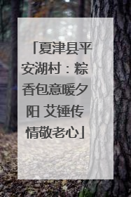 夏津县平安湖村：粽香包意暖夕阳 艾锤传情敬老心