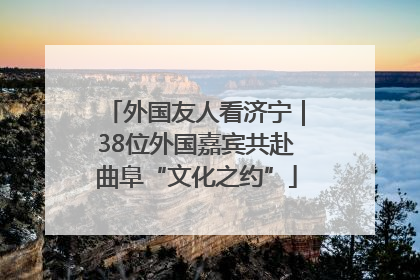 外国友人看济宁｜38位外国嘉宾共赴曲阜“文化之约”