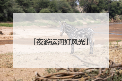 夜游运河好风光