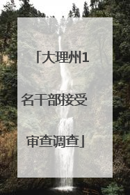 大理州1名干部接受审查调查