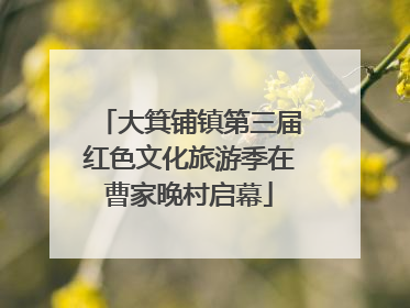 大箕铺镇第三届红色文化旅游季在曹家晚村启幕