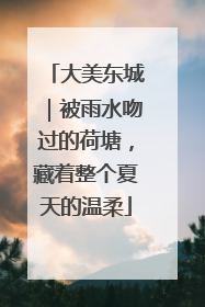 大美东城｜被雨水吻过的荷塘，藏着整个夏天的温柔