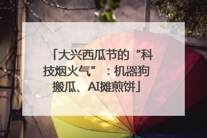 大兴西瓜节的“科技烟火气”：机器狗搬瓜、AI摊煎饼