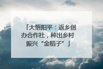 大悟阳平：返乡创办合作社，种出乡村振兴“金稻子”