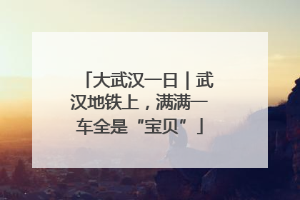 大武汉一日｜武汉地铁上，满满一车全是“宝贝”