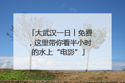 大武汉一日︱免费，这里带你看半小时的水上“电影”