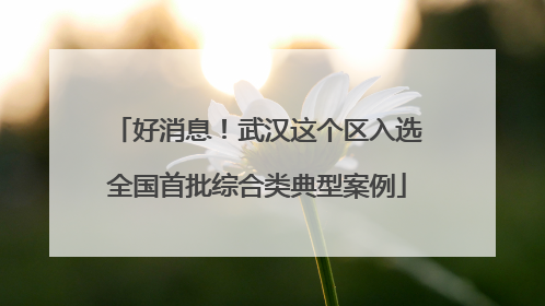 好消息！武汉这个区入选全国首批综合类典型案例