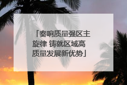 奏响质量强区主旋律 铸就区域高质量发展新优势