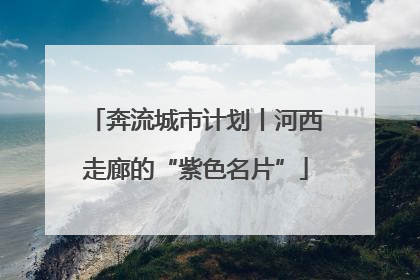 奔流城市计划丨河西走廊的“紫色名片”