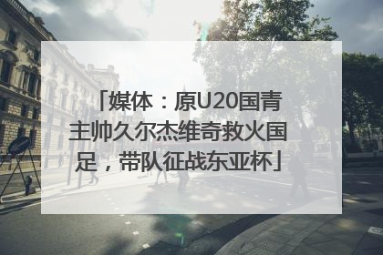 媒体：原U20国青主帅久尔杰维奇救火国足，带队征战东亚杯