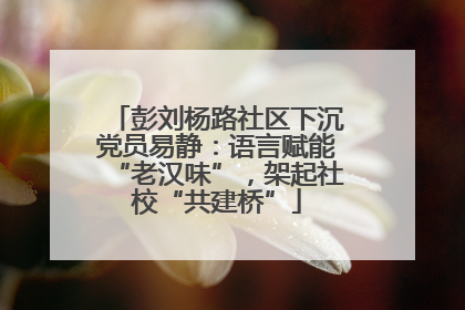 彭刘杨路社区下沉党员易静：语言赋能“老汉味”，架起社校“共建桥”