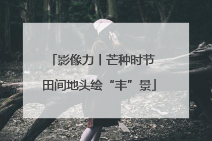 影像力丨芒种时节 田间地头绘“丰”景