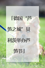 德国“芦笋之城”贝利茨举办芦笋节